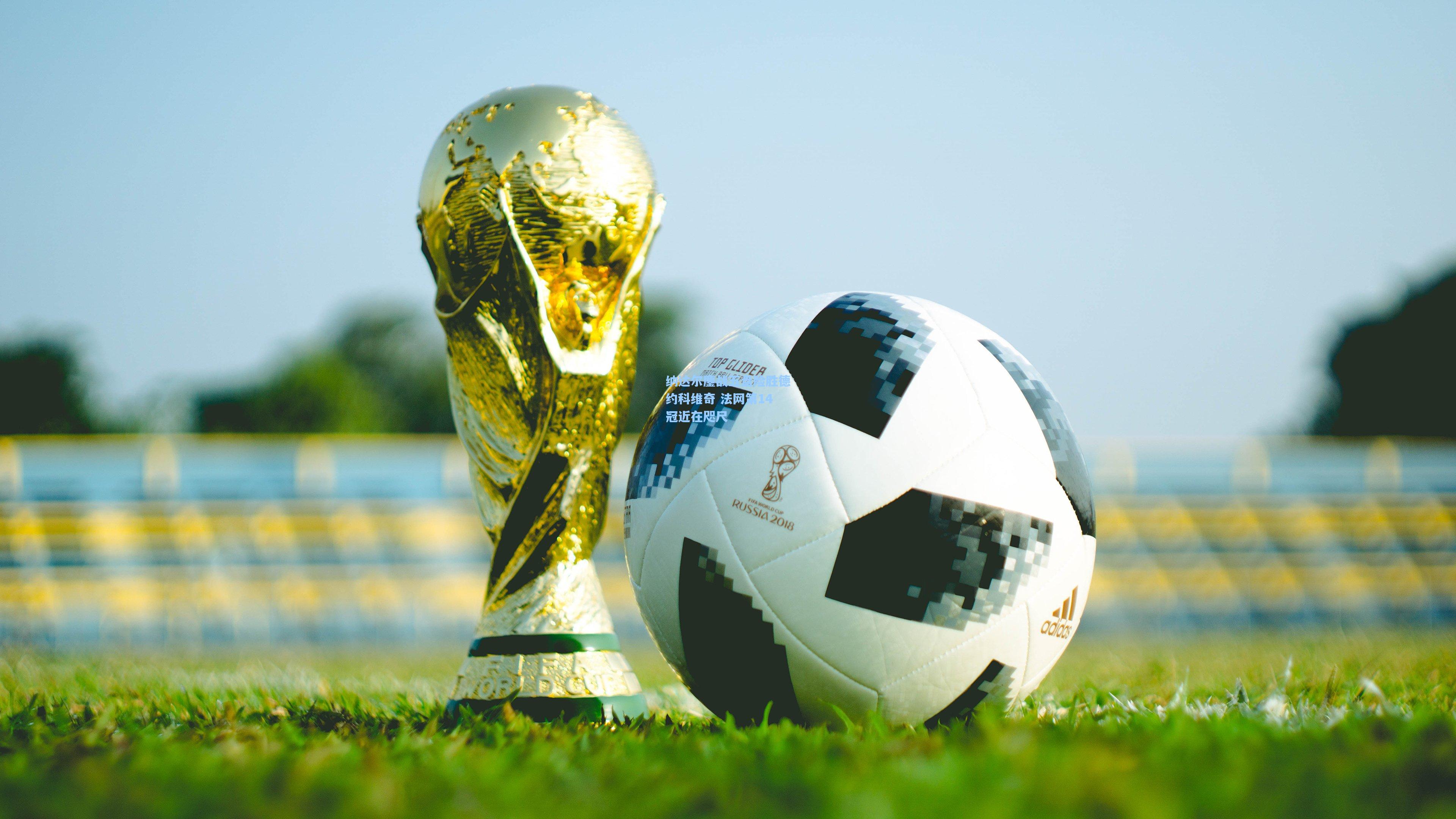 纳达尔鏖战五盘险胜德约科维奇 法网第14冠近在咫尺